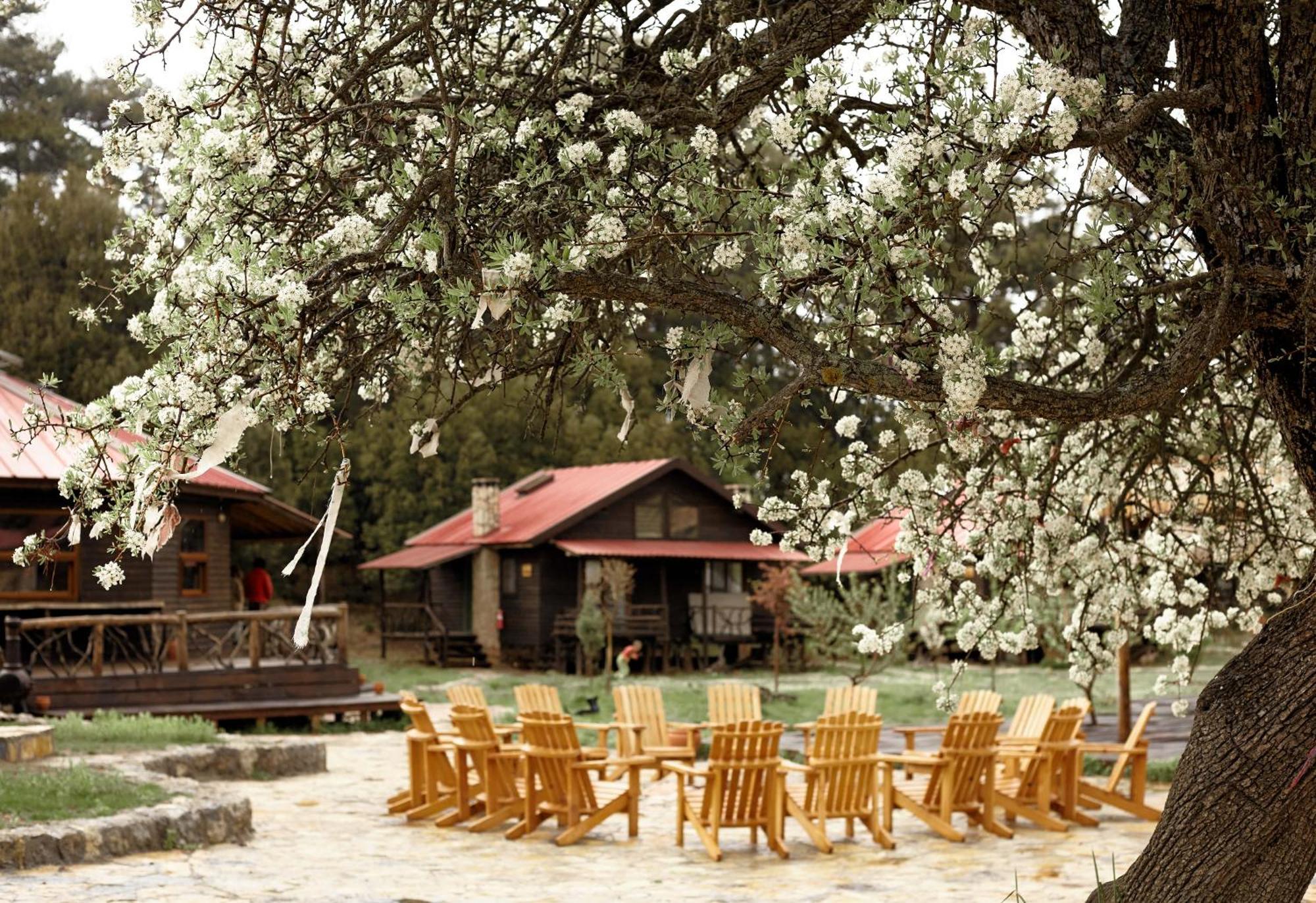 Babakamp Eco Ranch & Retreat Hotel Oludeniz Exterior foto